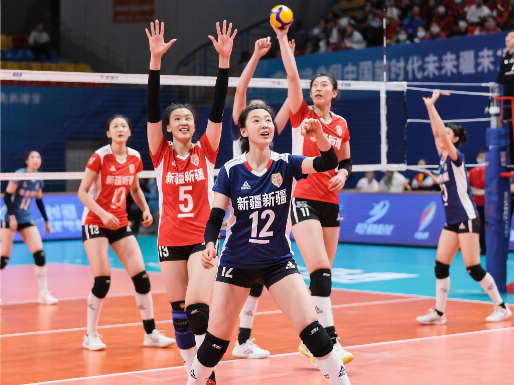 冬窗进行任 冬窗进行任